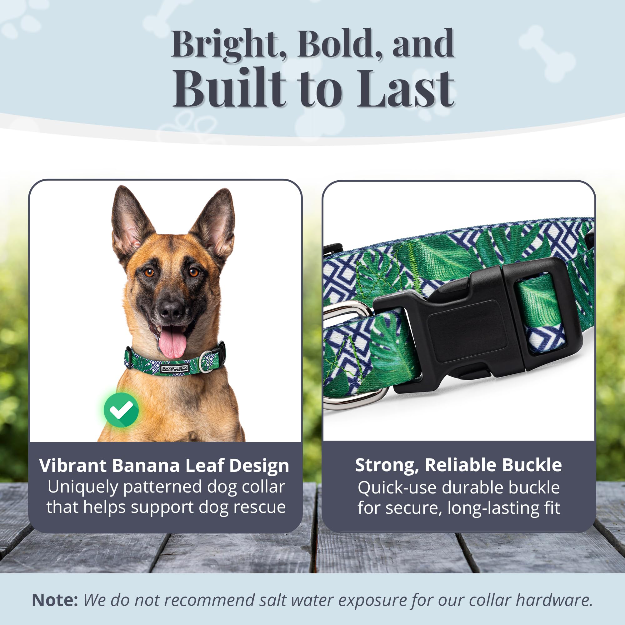 Amazon.com : Lucky Love Dog Collar, Beautiful & Vivid Pattern